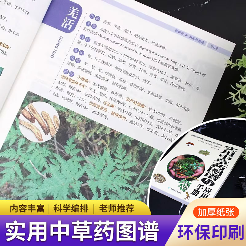 Wellness Herbal Medicine - Praktyczny Atlas i Podręcznik Ziół: Kompletna