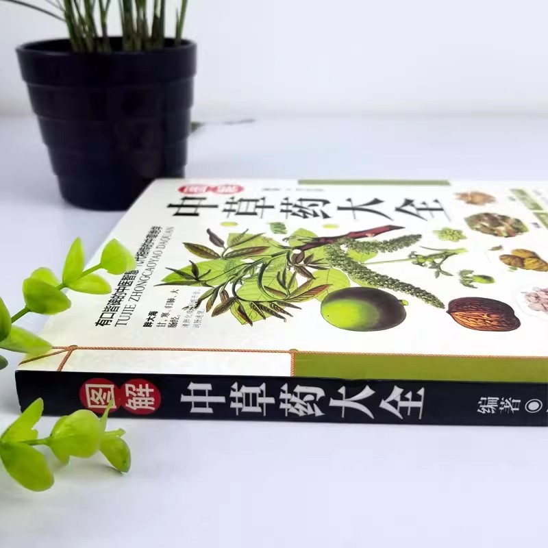 Starożytny Herbarium: Holistyc – Wellness Herbal Medicine recenzja i cena