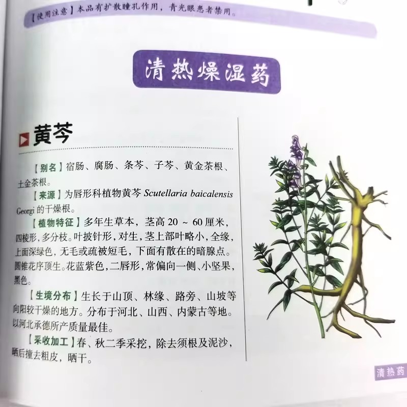 Starożytny Herbarium: Holistyc – Wellness Herbal Medicine recenzja i cena